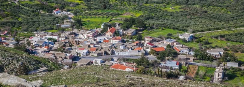 Πανοραμική άποψη της Αγίας Παρασκευής Πεδιάδας ανάμεσα στους ελαιώνες